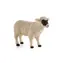 Mojo Animal Planet Ovce Hampshire / od 3 rokov