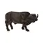 Mojo Animal Planet Byvol africký / od 3 rokov