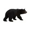 Mojo Animal Planet Medveď baribal / od 3 rokov