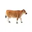 Mojo Animal Planet Jerseyská krava / od 3 rokov