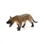 Mojo Animal Planet Hyaenodon Gigas / od 3 rokov