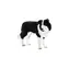 Mojo Animal Planet Border kolie / od 3 rokov