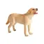 Mojo Animal Planet Labrador / od 3 rokov
