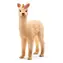 Schleich Bayala 70761 Žriebä jednorožčie lamy / od 5 rokov