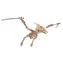 Woodcraft Drevené 3D puzzle Pterosaur / 23 dielikov / od 8 rokov / Obtiažnosť: jednoduchá 