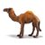 Collecta Dromedár / od 3 rokov