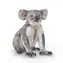 Collecta Koala / od 3 rokov
