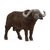 Schleich Wild Life 14872 Byvol africký / od 3 rokov 
