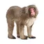 Schleich Wild Life 14871 Makak červenolíci / od 3 rokov 