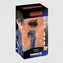 Minix Anime: Detective Conan - Shinichi Kudo / od 17 rokov