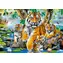 Castorland 104413 Tigre pri rieke / 1000 dielikov / od 9 rokov