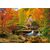 Castorland 104918 Kúzelná jeseň / 1000 dielikov / od 9 rokov