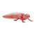 Mojo Axolotl / od 3 rokov