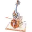 Robotime Roker 3D drevené puzzle Nádherná symfónia 199 dielikov