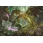 Clementoni 39961 Puzzle Dungerons&Dragons: Drak 1000 dielikov / od 10 rokov