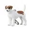 Mojo Kľúčenka Jack Russel teriér / od 3 rokov