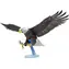 Metal Earth 3D puzzle Premium Series: Orol bielohlavý / 111 dielikov / od 14 rokov