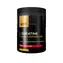 ATP Nutrition Creatine + EAA + Citicoline červená kvet oranžová 400 g