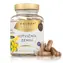 Golden Nature Exclusive Kotvičník zemný 90% + Zinok + Selén 100 cps.