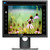19" DELL Professional P1917S čierna / LCD / 1280x1024 / IPS / 5:4 / 6ms / 1000:1 / 250cd-m2 / VGA + HDMI + DP / USB / 3YNB
