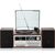 ROADSTAR HIF-8892D+BT hnedá / Gramofón / 64 W / CD / DAB+ a FM / BT / AUX RCA / USB / SD karta
