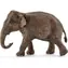 Schleich Wild Life 14753 Slon indický - samica / od 3 rokov