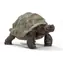 Schleich Wild Life 14824 Obrie korytnačka / od 3 rokov