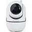 Gembird TSL-CAM-WRHD-02 biela / Vnútorná IP camera / 1080p / IR / Wi-Fi / detekcia pohybu / repro
