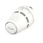 Danfoss Regus termostatická hlavica 015G3630/M30x1.5