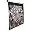 ELITE SCREENS plátno roleta 119" (1:1) biela / 213.4 x 213.4 cm / zisk 1.1