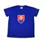 SPORTTEAM Fanúšikovské tričko SPORTTEAM® Slovenská Republika 5 pánske veľ. XL