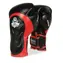 BUSHIDO BB4 12 oz boxerské rukavice DBX 