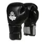 BUSHIDO B-2v9 12 oz. boxerské rukavice DBX 