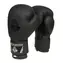 BUSHIDO B-2v12 12 OZ BOXERSKÉ RUKAVICE DBX 