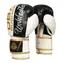 BUSHIDO B-2V16 12 OZ BOXERSKÉ RUKAVICE DBX 