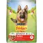 PURINA Friskies Active 10 kg / Granule / pre psov
