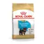 Royal Canin Yorkshire Terrier Puppy 7.5 kg / Granule pre psov