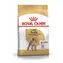 Royal Canin Poodle Adult 7.5 kg / Granule pre psov