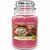 Yankee Candle Peppermint Pinwheels veľký pohár 623g / doba horenia: až 150 h / dopredaj