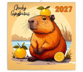 NOTIQUE Poznámkový kalendár Rozverné kapybary 2027 / Nástenný kalendár / 30 × 30 cm