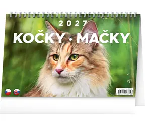 NOTIQUE Mačky - Mačky 2027 / Stolný kalendár / CZ/SK / 23,1 × 14,5 cm