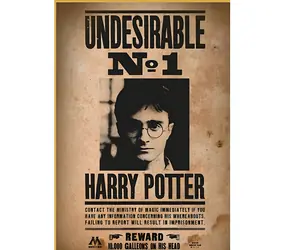 THUMBS UP! Puzzle Harry Potter Wanted No.1 / 50 dielikov / pre dospelých aj deti