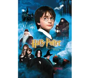 ThumbsUp! Puzzle Harry Potter a Kameň mudrcov / 50 dielikov