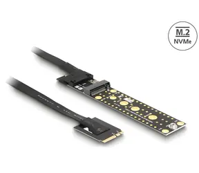 DeLock / Redukcia M.2 Key A+E samec - M.2 Key M slot / kábel 20 cm