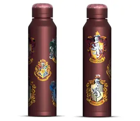 PYRAMID Fľaša na pitie Harry Potter Slim / Nerezová / 550 ml