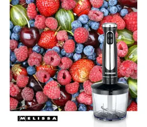 Melissa 16210069 čierna / Tyčový mixér / 600W / 2 rýchlosti / nerezový nôž / sekáčik 0,5 l