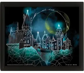 PYRAMÍD 3D obraz Harry Potter - Bradavice / Licenčný dizajn