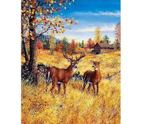 Norimpex Diamantové maľovanie Jelene na poli / 30x40 cm