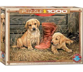 EUROGRAPHICS Puzzle Šteňatá so starou topánkou / 1000 dielikov / 67,6 × 48,9 cm