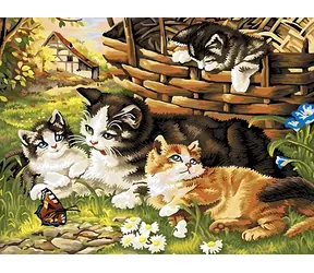 Norimpex Diamantové maľovanie Mačacia rodinka / 30x40 cm